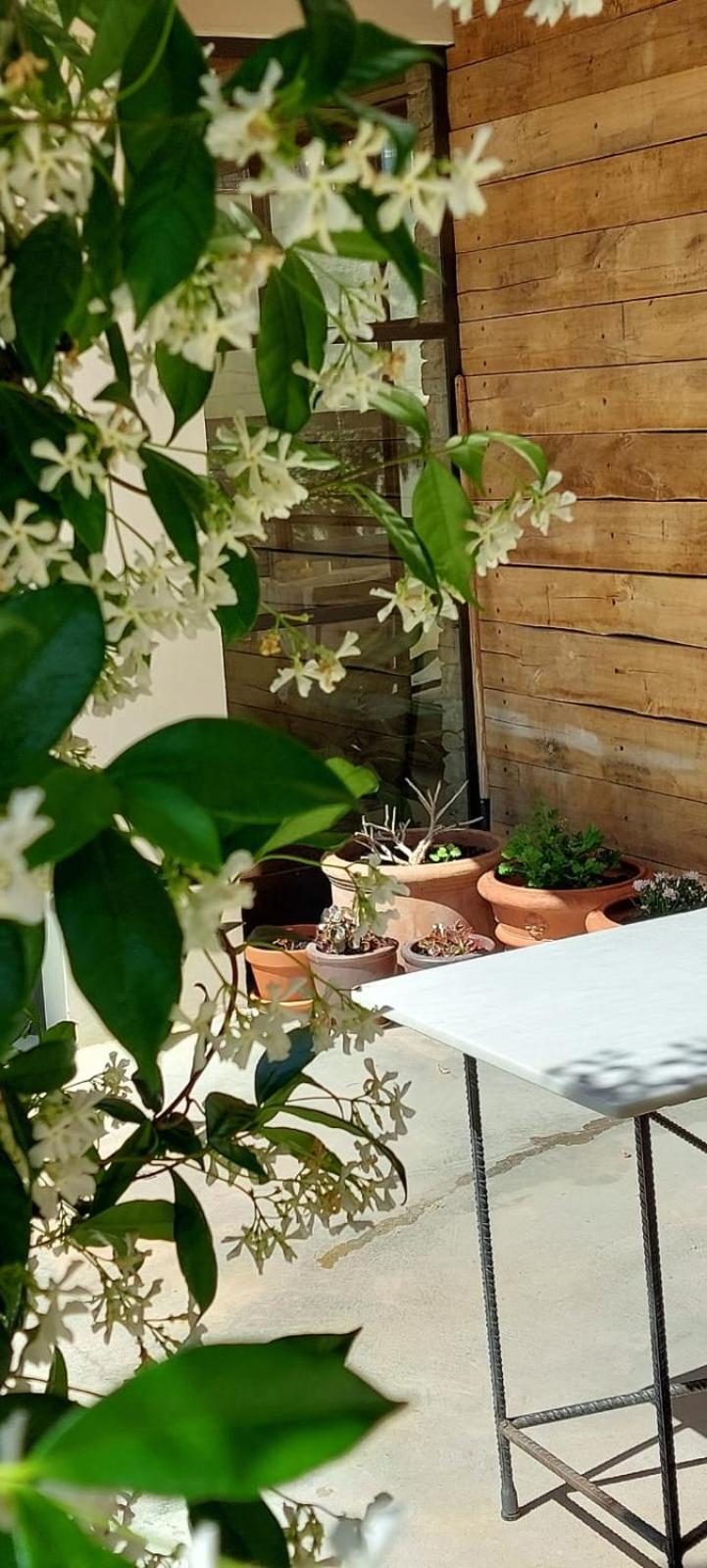 Mas Ferran Adults Only Bed & Breakfast Палс Екстериор снимка